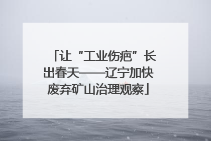 让“工业伤疤”长出春天——辽宁加快废弃矿山治理观察