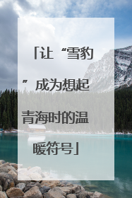 让“雪豹”成为想起青海时的温暖符号