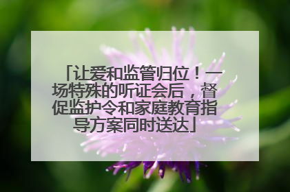 让爱和监管归位！一场特殊的听证会后，督促监护令和家庭教育指导方案同时送达