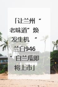 让兰州“老味道”焕发生机 “兰白946”白兰瓜即将上市
