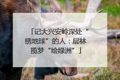 记大兴安岭深处“绣地球”的人：层林揽梦“绘绿洲”
