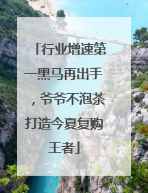 行业增速第一黑马再出手，爷爷不泡茶打造今夏复购王者