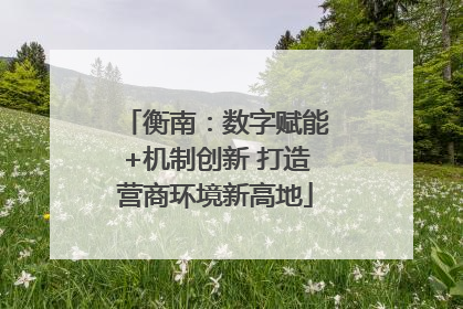 衡南：数字赋能+机制创新 打造营商环境新高地