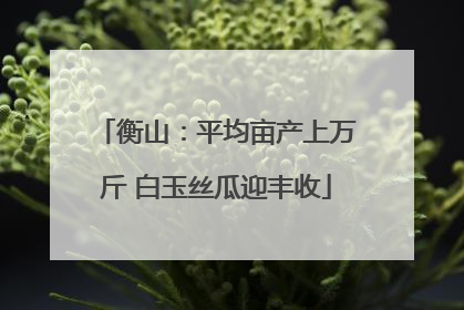 衡山：平均亩产上万斤 白玉丝瓜迎丰收