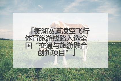 衡湖赛道凌空飞行体育旅游线路入选全国“交通与旅游融合创新项目”