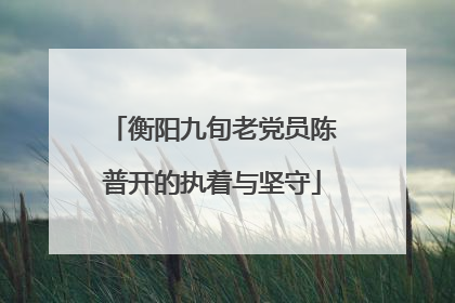 衡阳九旬老党员陈普开的执着与坚守