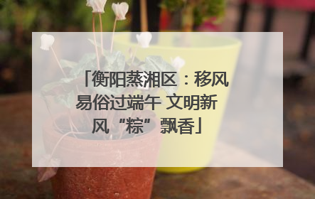 衡阳蒸湘区：移风易俗过端午 文明新风“粽”飘香
