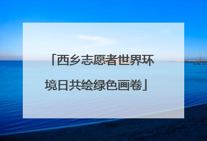 西乡志愿者世界环境日共绘绿色画卷