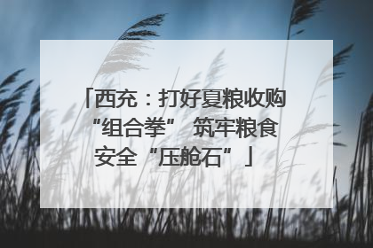 西充：打好夏粮收购“组合拳” 筑牢粮食安全“压舱石”
