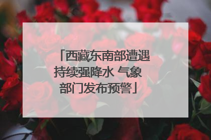 西藏东南部遭遇持续强降水 气象部门发布预警