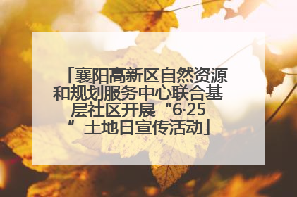 襄阳高新区自然资源和规划服务中心联合基层社区开展“6·25”土地日宣传活动