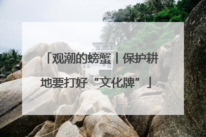 观潮的螃蟹丨保护耕地要打好“文化牌”