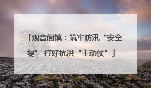 观音阁镇：筑牢防汛“安全堤” 打好抗洪“主动仗”