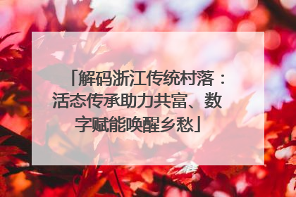 解码浙江传统村落：活态传承助力共富、数字赋能唤醒乡愁