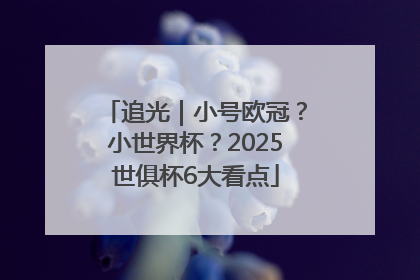 追光｜小号欧冠？小世界杯？2025世俱杯6大看点