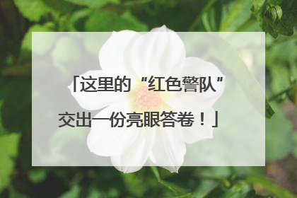 这里的“红色警队”交出一份亮眼答卷！