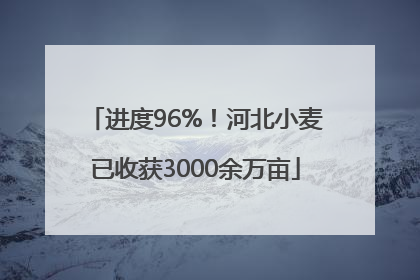 进度96%！河北小麦已收获3000余万亩