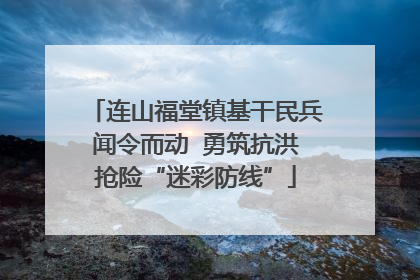 连山福堂镇基干民兵闻令而动  勇筑抗洪抢险“迷彩防线”