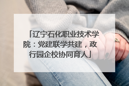 辽宁石化职业技术学院：党建联学共建，政行园企校协同育人