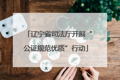 辽宁省司法厅开展“公证规范优质”行动