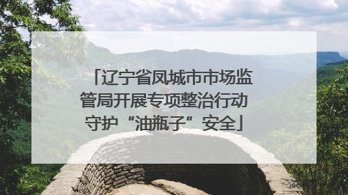 辽宁省凤城市市场监管局开展专项整治行动守护“油瓶子”安全
