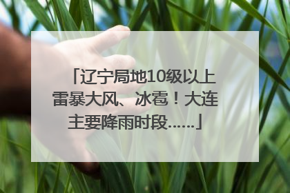 辽宁局地10级以上雷暴大风、冰雹！大连主要降雨时段……