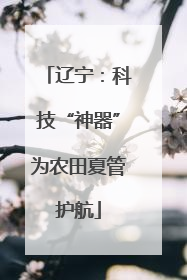 辽宁：科技“神器”为农田夏管护航