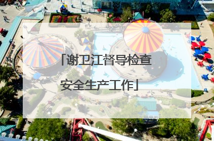 谢卫江督导检查安全生产工作