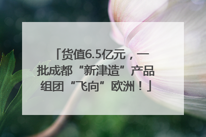 货值6.5亿元，一批成都“新津造”产品组团“飞向”欧洲！