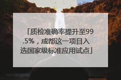 质检准确率提升至99.5%，成都这一项目入选国家级标准应用试点