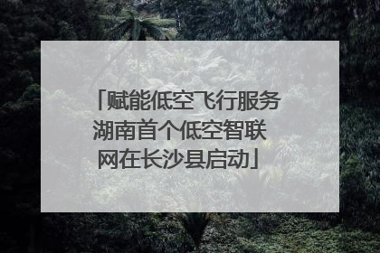 赋能低空飞行服务 湖南首个低空智联网在长沙县启动