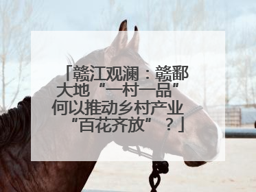 赣江观澜：赣鄱大地“一村一品”何以推动乡村产业“百花齐放”？