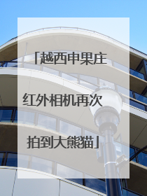 越西申果庄红外相机再次拍到大熊猫