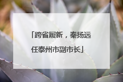 跨省履新，秦扬远任泰州市副市长