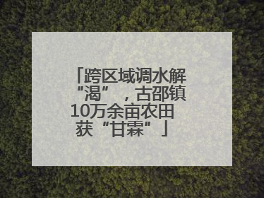 跨区域调水解“渴”，古邵镇10万余亩农田获“甘霖”