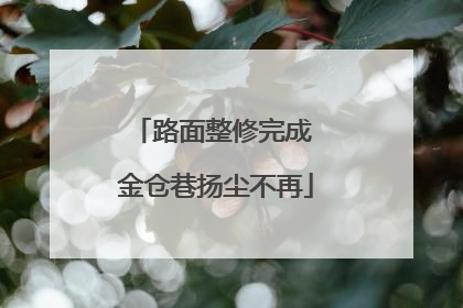 路面整修完成 金仓巷扬尘不再