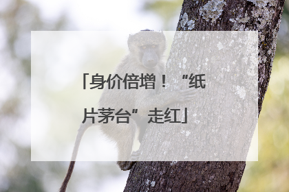 身价倍增！“纸片茅台”走红