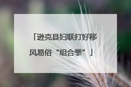 逊克县妇联打好移风易俗“组合拳”