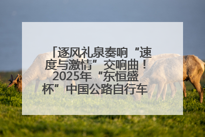 逐风礼泉奏响“速度与激情”交响曲！2025年“东恒盛杯”中国公路自行车联赛第五站（陕西·礼泉站）正式开赛