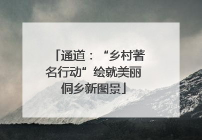 通道：“乡村著名行动”绘就美丽侗乡新图景