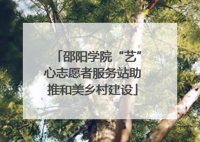 邵阳学院“艺”心志愿者服务站助推和美乡村建设