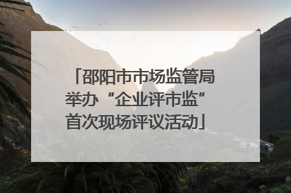 邵阳市市场监管局举办“企业评市监”首次现场评议活动