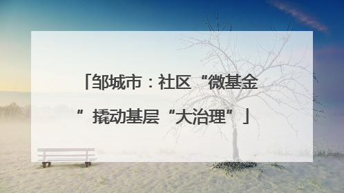 邹城市：社区“微基金”撬动基层“大治理”