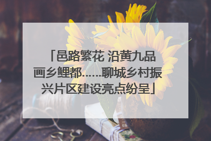 邑路繁花 沿黄九品 画乡鲤都……聊城乡村振兴片区建设亮点纷呈