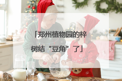 郑州植物园的梓树结“豆角”了