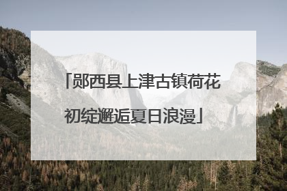 郧西县上津古镇荷花初绽邂逅夏日浪漫