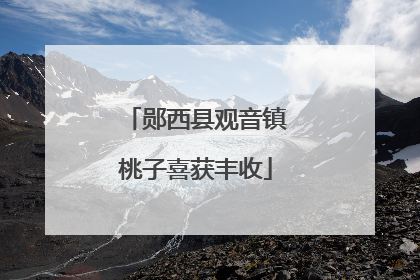 郧西县观音镇桃子喜获丰收
