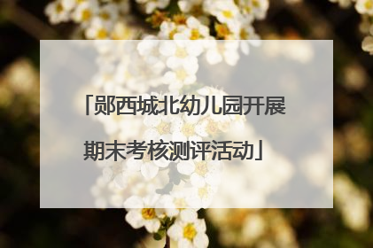 郧西城北幼儿园开展期末考核测评活动