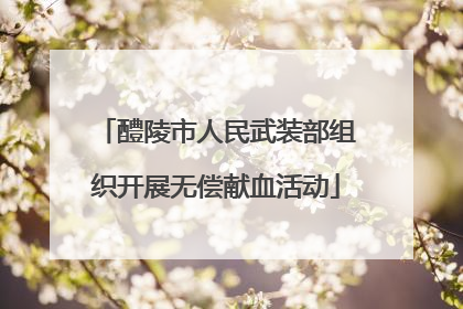 醴陵市人民武装部组织开展无偿献血活动