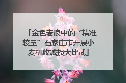 金色麦浪中的“精准较量”石家庄市开展小麦机收减损大比武